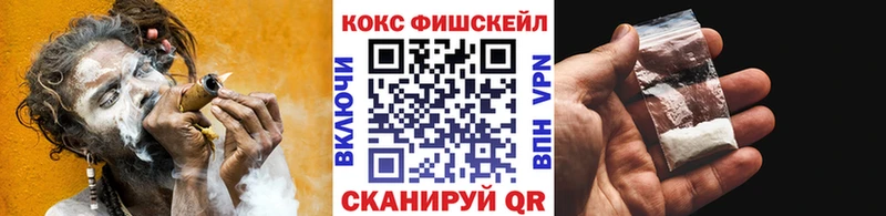 Купить где  Курильск  КОКАИН VHQ 