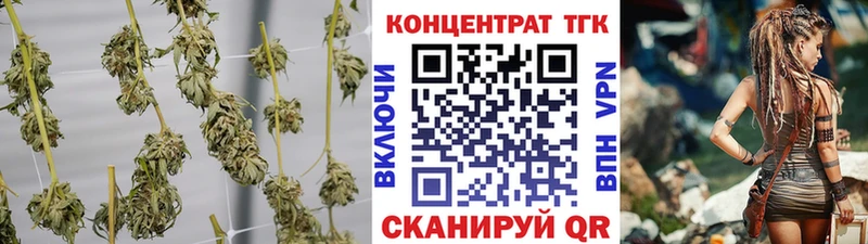 Купить где  Курильск  ТГК гашишное масло 
