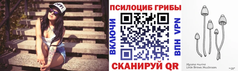 Галлюциногенные грибы Psilocybine cubensis  Купить  Курильск 